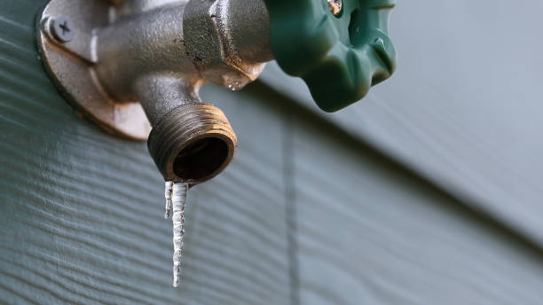 Best Sewer Line Repair  in Oro Valley, AZ